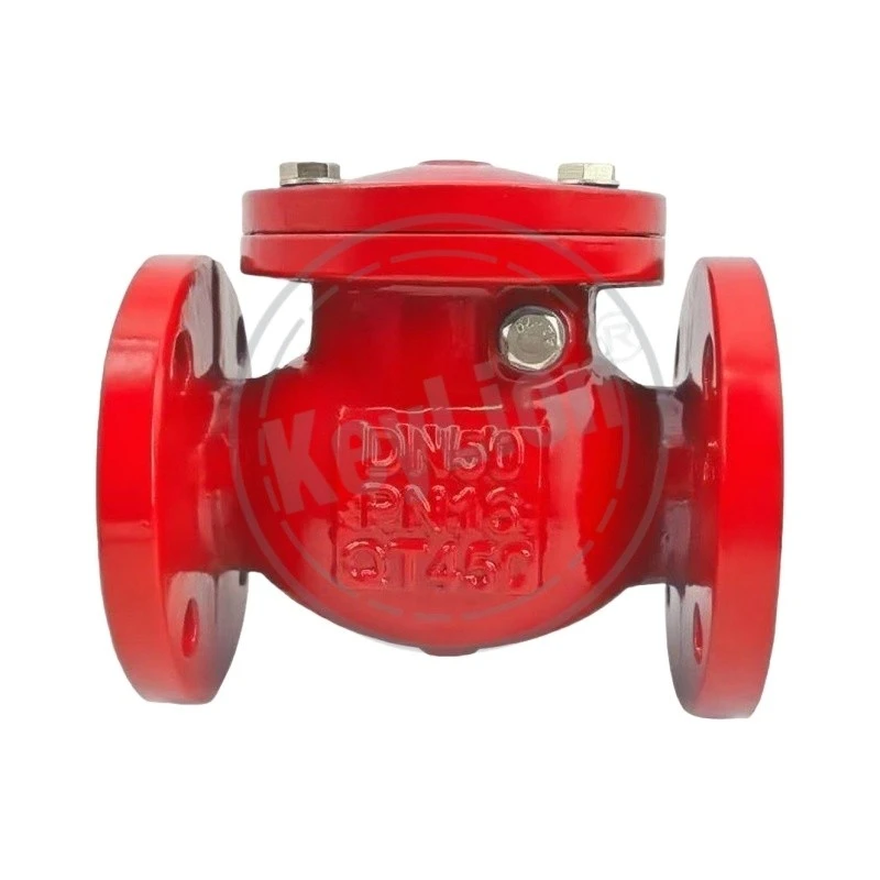 100mm Swing Check Valve 
