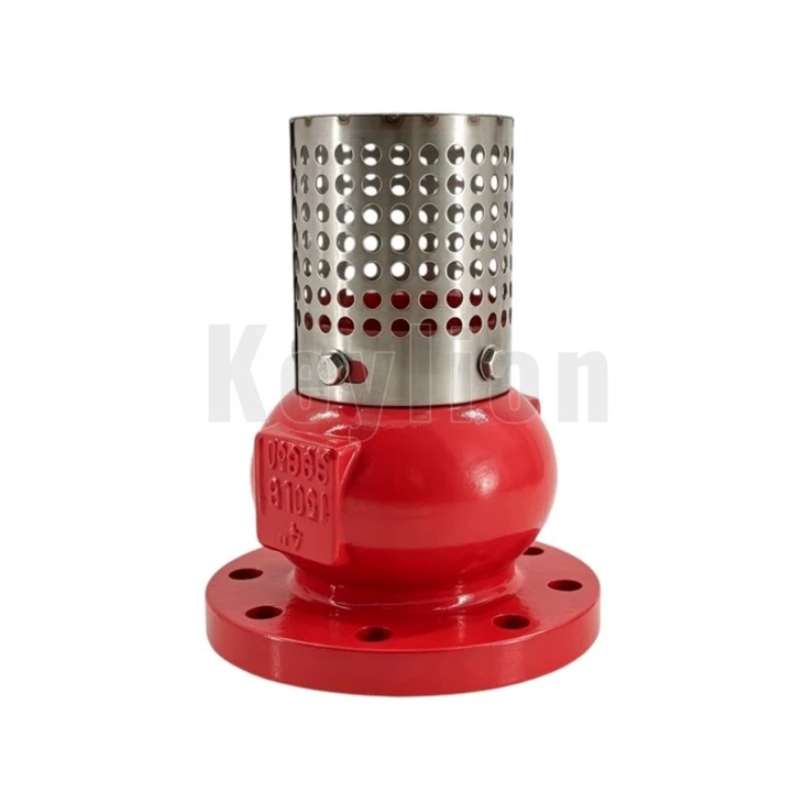 Foot Valve With Strainer
