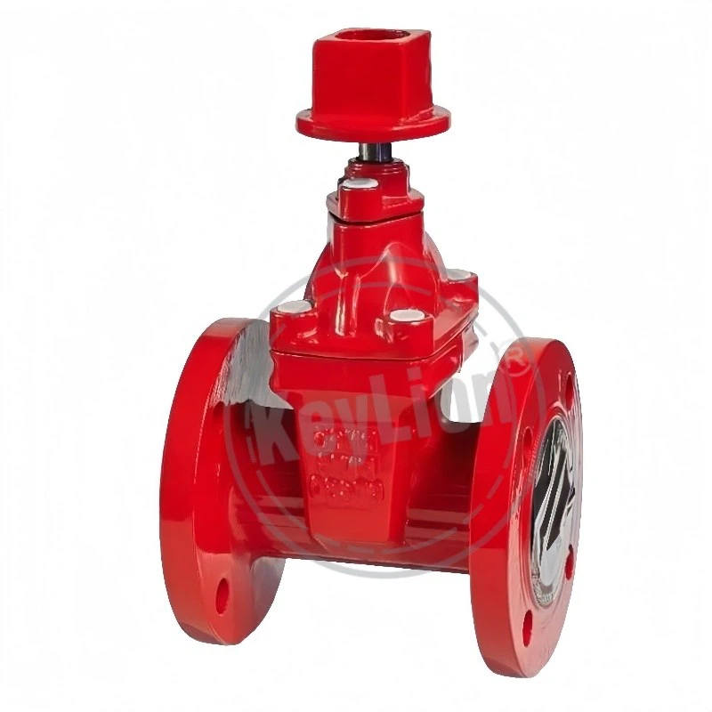 Gate Valve Underground