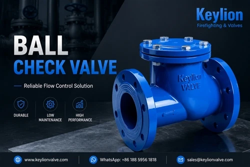 What is a ball check valve