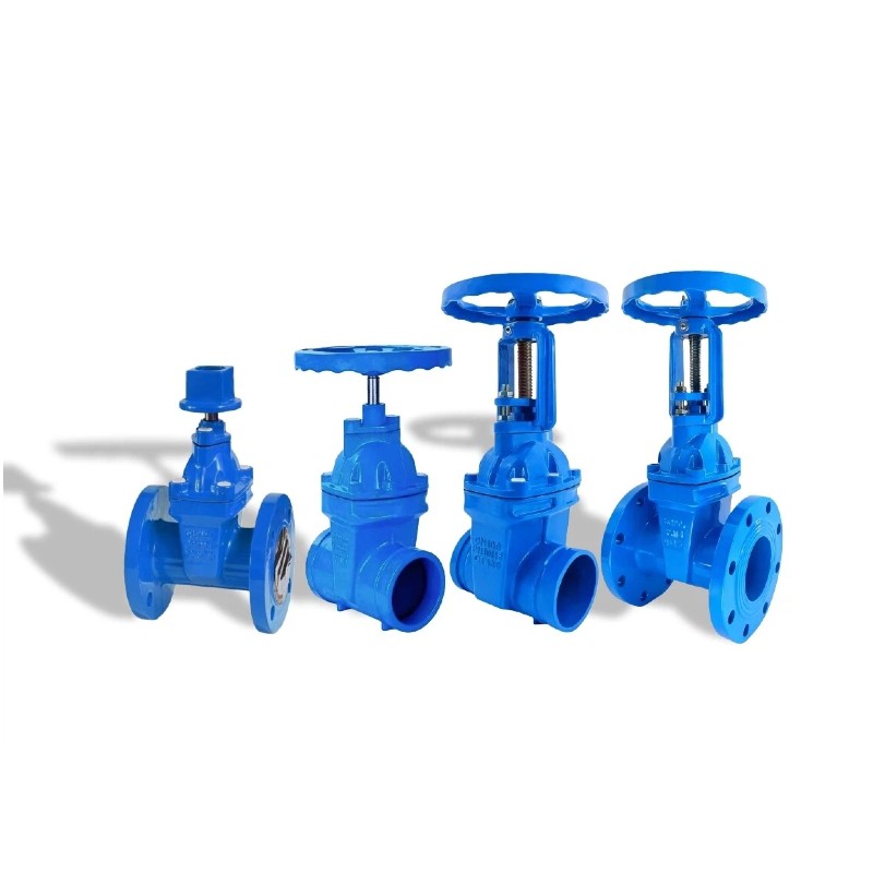 Gate Valve
