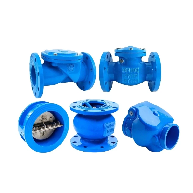 Check Valve