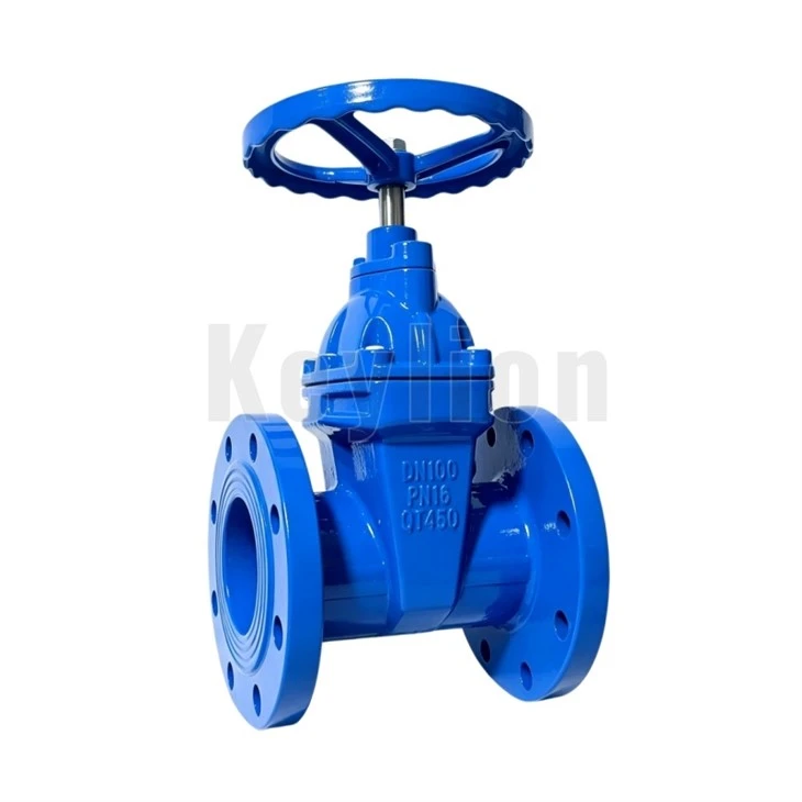 NRS Gate Valve