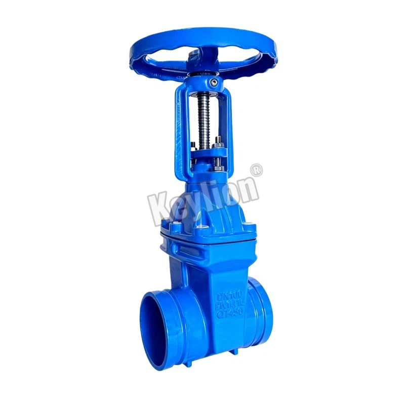 2 Inch Flanged Gate Valve