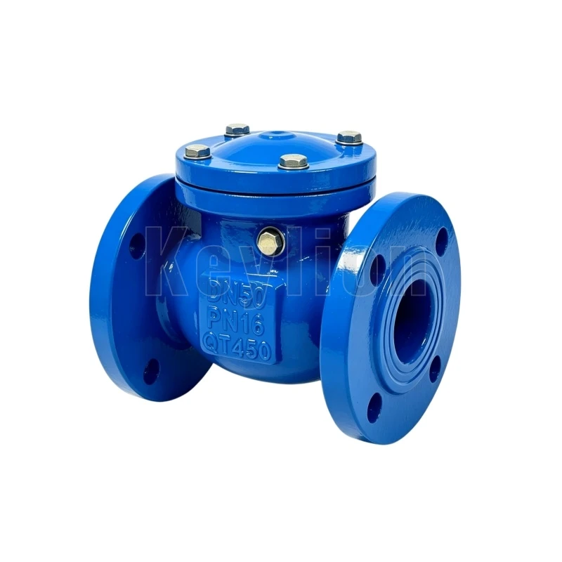 3 Inch Flanged Check Valve