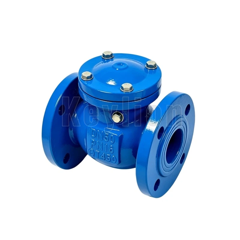 Ductile Iron Swing Check Valve