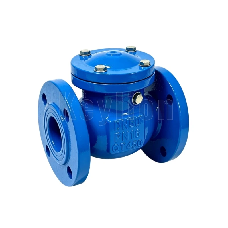 PN16 Swing Check Valve
