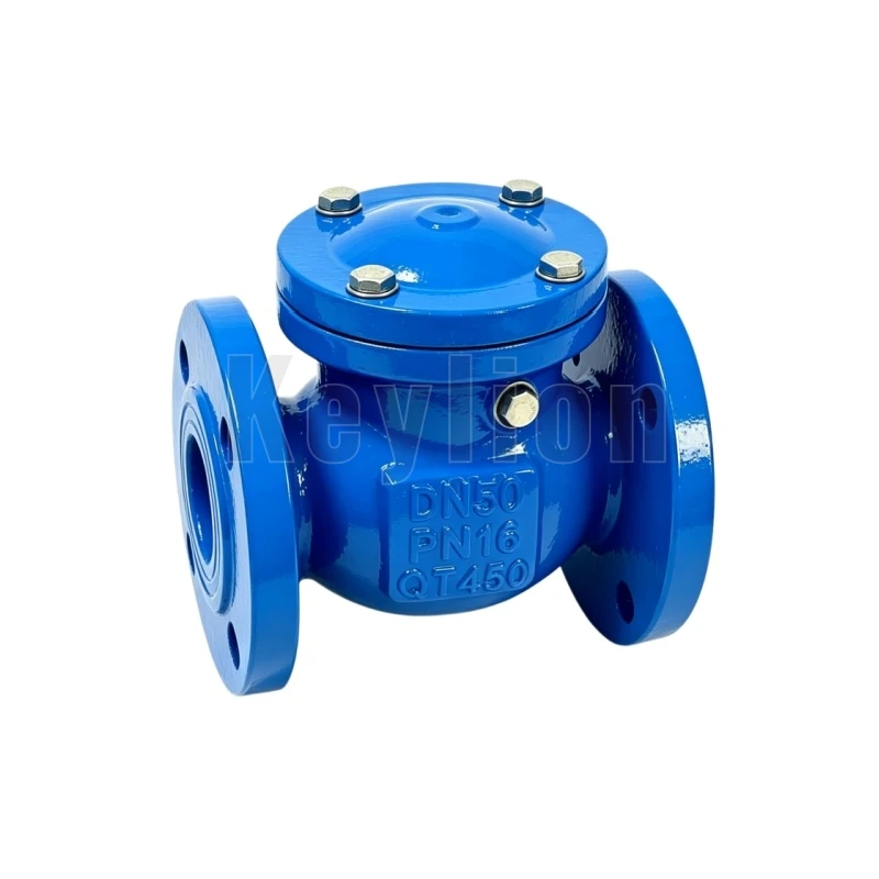 Swing Check Valve Flange Type