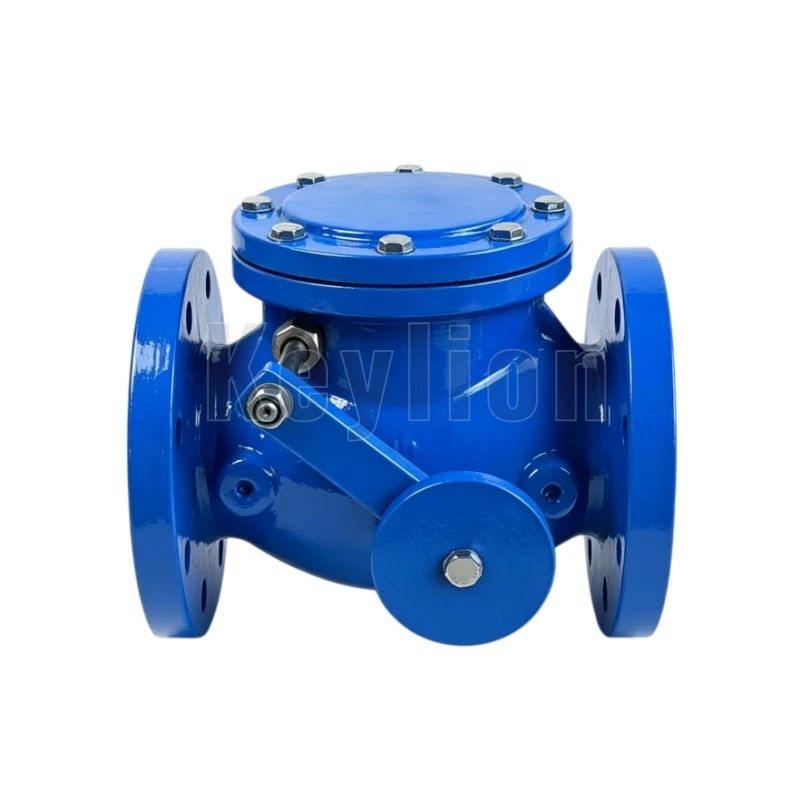Swing Check valve With Counterweight Swing Check valve With Counterweight