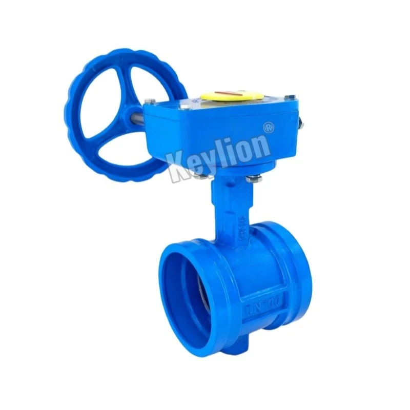 Grooved Gate Valve For Fire Protection
