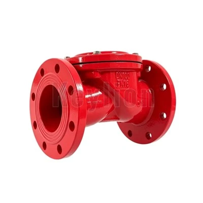 Rubber Flapper Check Valve